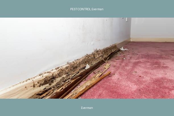 PEST CONTROL Everman